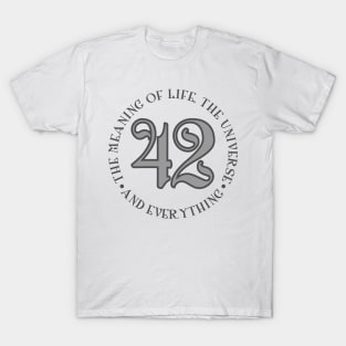 42 is the Meaning of Life Universe _ Everything T-Shirt